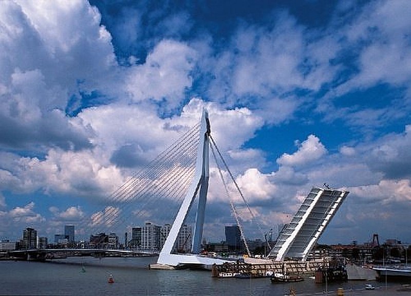  The Erasmus Bridge, Rotterdam